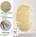 Large Natural Dish Scrubber, Loofah Dishwashing Sponge (6 Pcs), No Scratch for Dish, Large Size 5.2″L*3.2″W, Loofah Plant Kitchen Eco-Scrubber, Zero Waste and Eco Friendly Sponges, Unbleached.